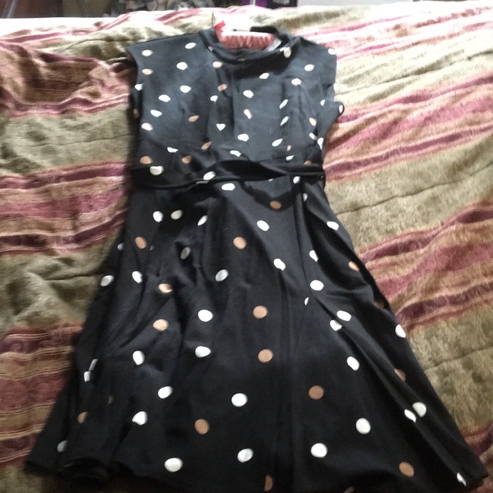 ANN TAYLOR Factory belted polka dot flare dress